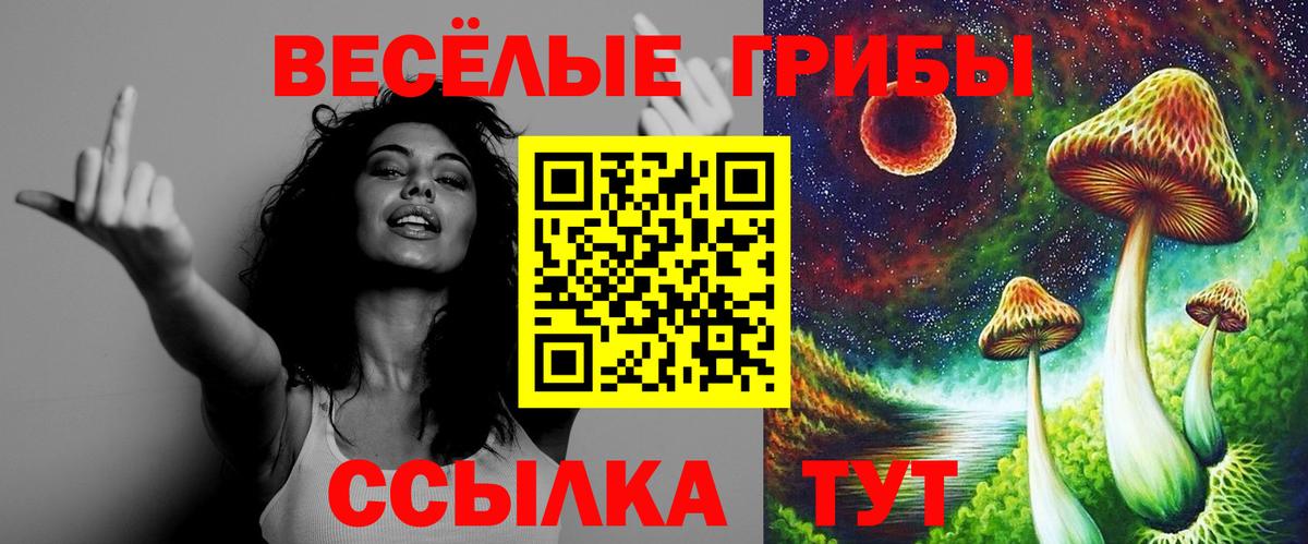 Псилоцибиновые грибы Cubensis Скопин