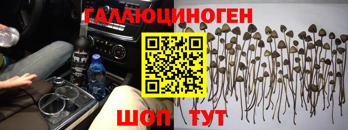 Галлюциногенные грибы ЛСД  Вход с VPN  Скопин 